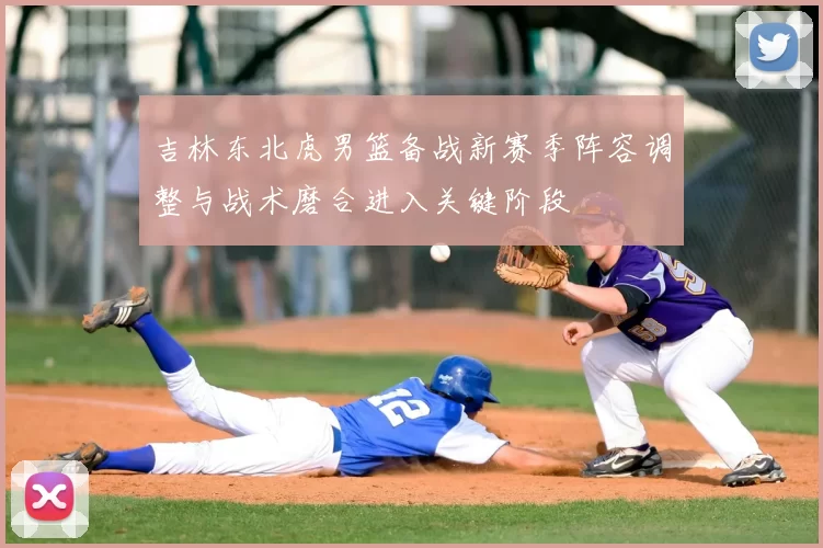 吉林东北虎男篮备战新赛季阵容调整与战术磨合进入关键阶段