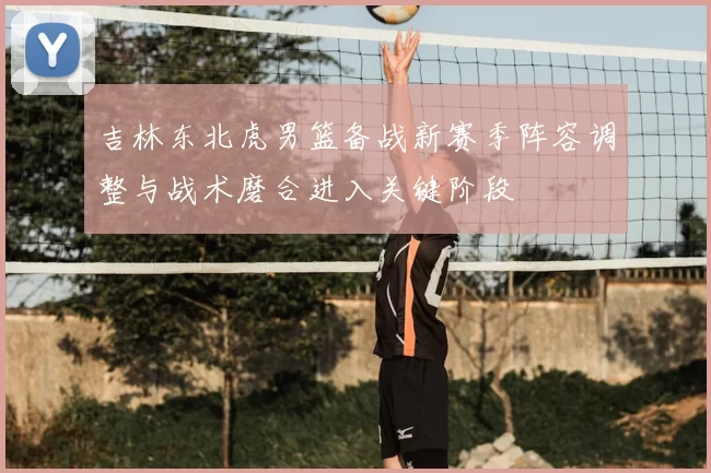 吉林东北虎男篮备战新赛季阵容调整与战术磨合进入关键阶段