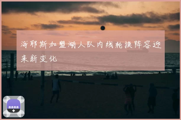 海耶斯加盟湖人队内线轮换阵容迎来新变化