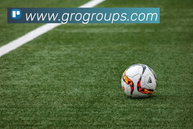 世界杯指定官网平台生态图